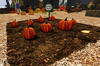 Second Life Marketplace Pumpkin Patch